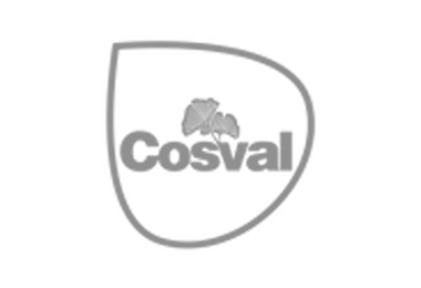 Cosval S.p.A.